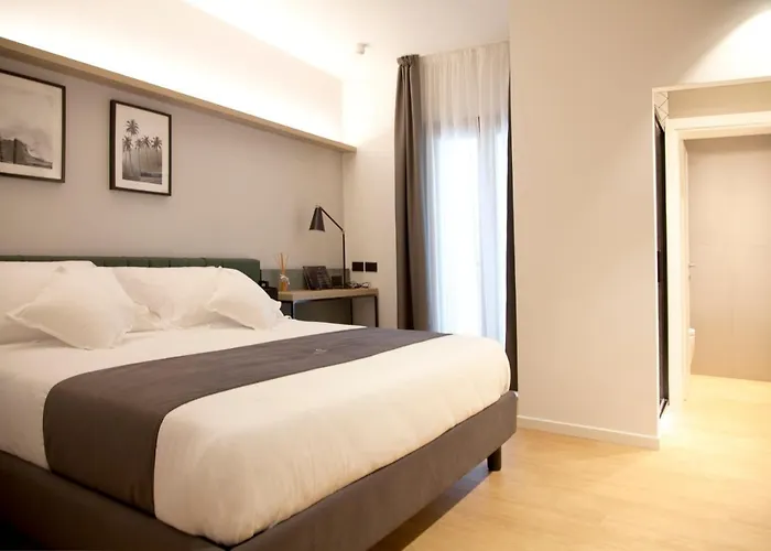 Meg Lifestyle & Riccione